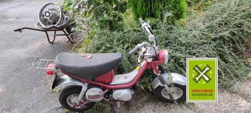 IMG_20230822_183246